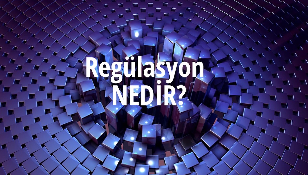 regülasyon nedir