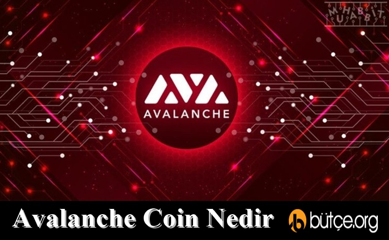 Avalanche Coin Nedir